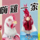Holsemchicken home pagelink 16 9